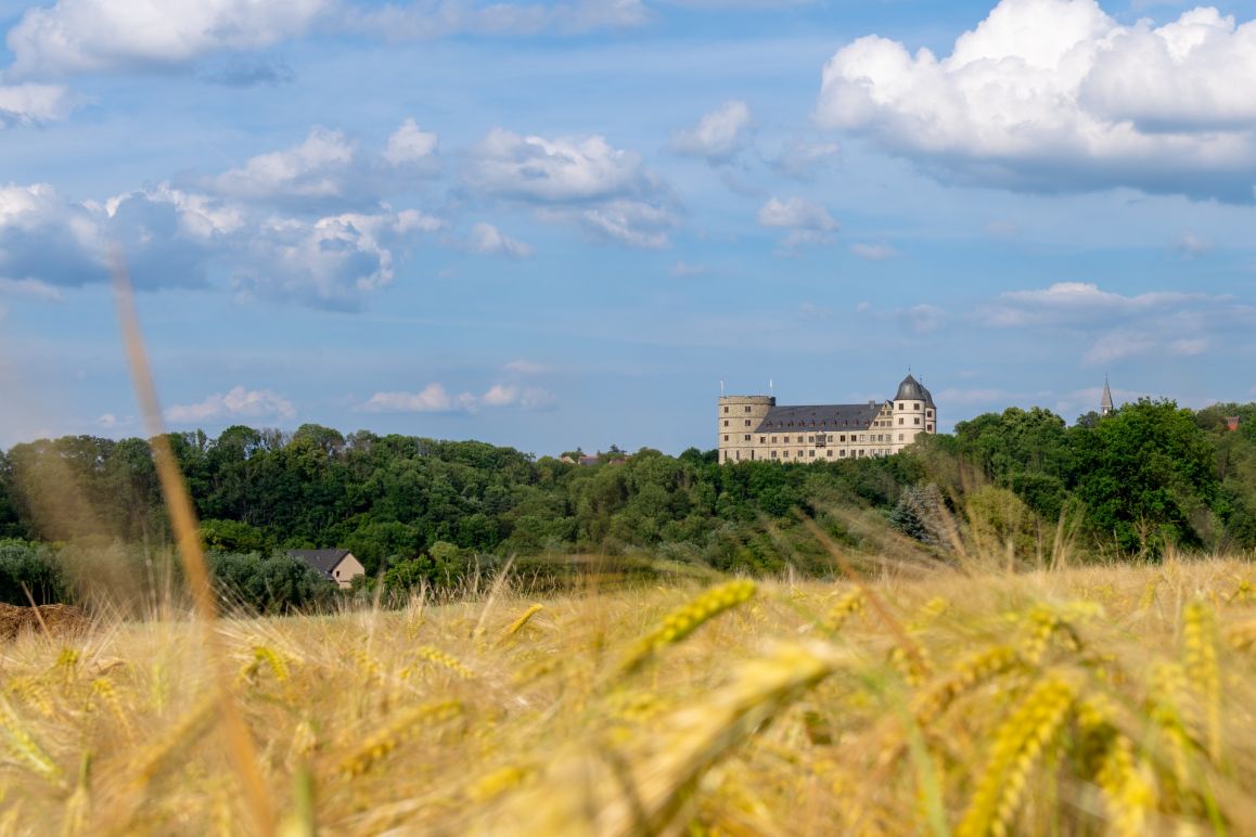 2023-06-20_Carsten Montag_3